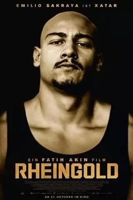 莱茵金【影视解说】